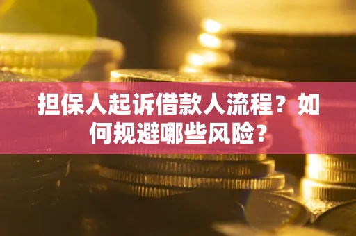 北京担保人起诉借款人流程？如何规避哪些风险？