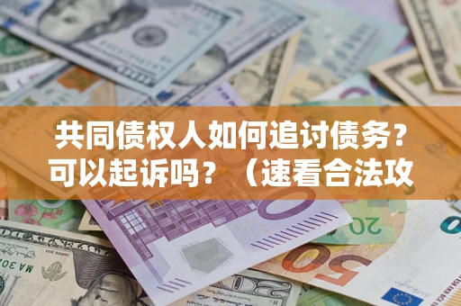 北京共同债权人如何追讨债务？可以起诉吗？（速看合法攻略）
