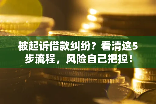 北京被起诉借款纠纷？看清这5步流程，风险自己把控！